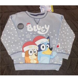 4T Toddler Bluey Sweater
